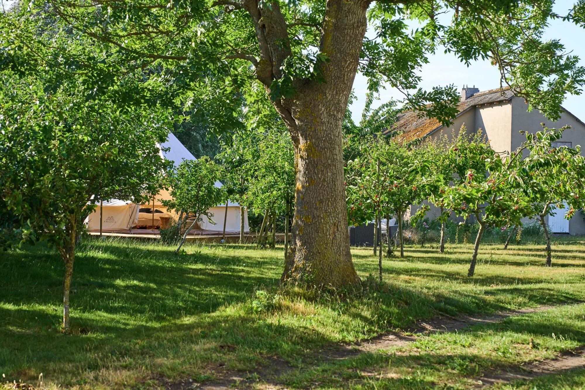 Hesselgaard Glamping Hotel Dalby Luaran gambar